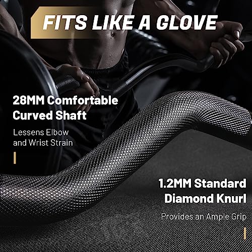 LIONSCOOL 2 Inch EZ Curl Bar, 350LBS/700LBS Weight Capacity Olympic Curl Barbell for Bicep, Tricep Workout, Deadlifts, Weightlifting, Strength Training Exercises - color: Golden & Black