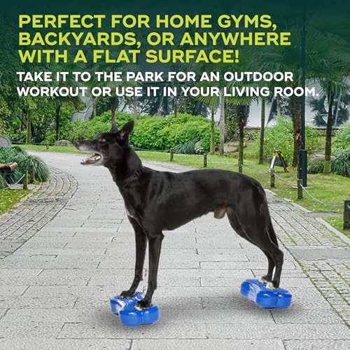 FitPAWS® K9FITbone® - Mini, Blue (Set of 2) | Dog Balance Training Platform & Exercise Equipment | Workout Tool for Strength, Core & Stability - color: Blue