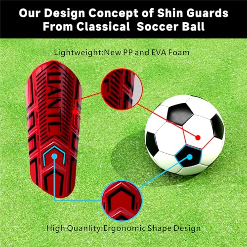 Shin Guards - Soccer Shin Guards with Cushion Protection for Kids/Adults - color: Red and Purple,Shin Pads 2 Pairs, size: Large