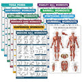 11 Pack - Exercise Poster Set, Dumbbell, Suspension, Kettlebell, Resistance Bands, Stretching, Bodyweight, Barbell, Yoga, Exercise Ball, Muscular System, Medicine Ball (LAMINATED, 18" x 24")