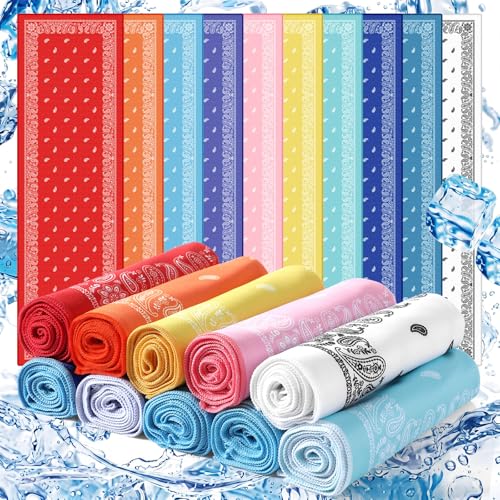 Eurzom 10 Pack Paisley Cooling Towels 40"x12" Microfiber Ice Towels Bulk for Neck & Face Summer Quick-Dry Sweat Rags for Gym Yoga Golf Running Sport Hot Weather Gifts